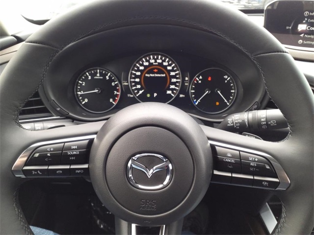 2025 Mazda CX-30 2.5 S Premium photo 19