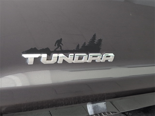 2019 Toyota Tundra SR5 CrewMax photo 6