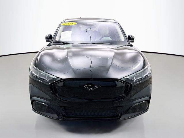 Used 2024 Ford Mustang Mach-E Premium AWD with VIN 3FMTK3SUXRMA05561 for sale in Bloomington, IL