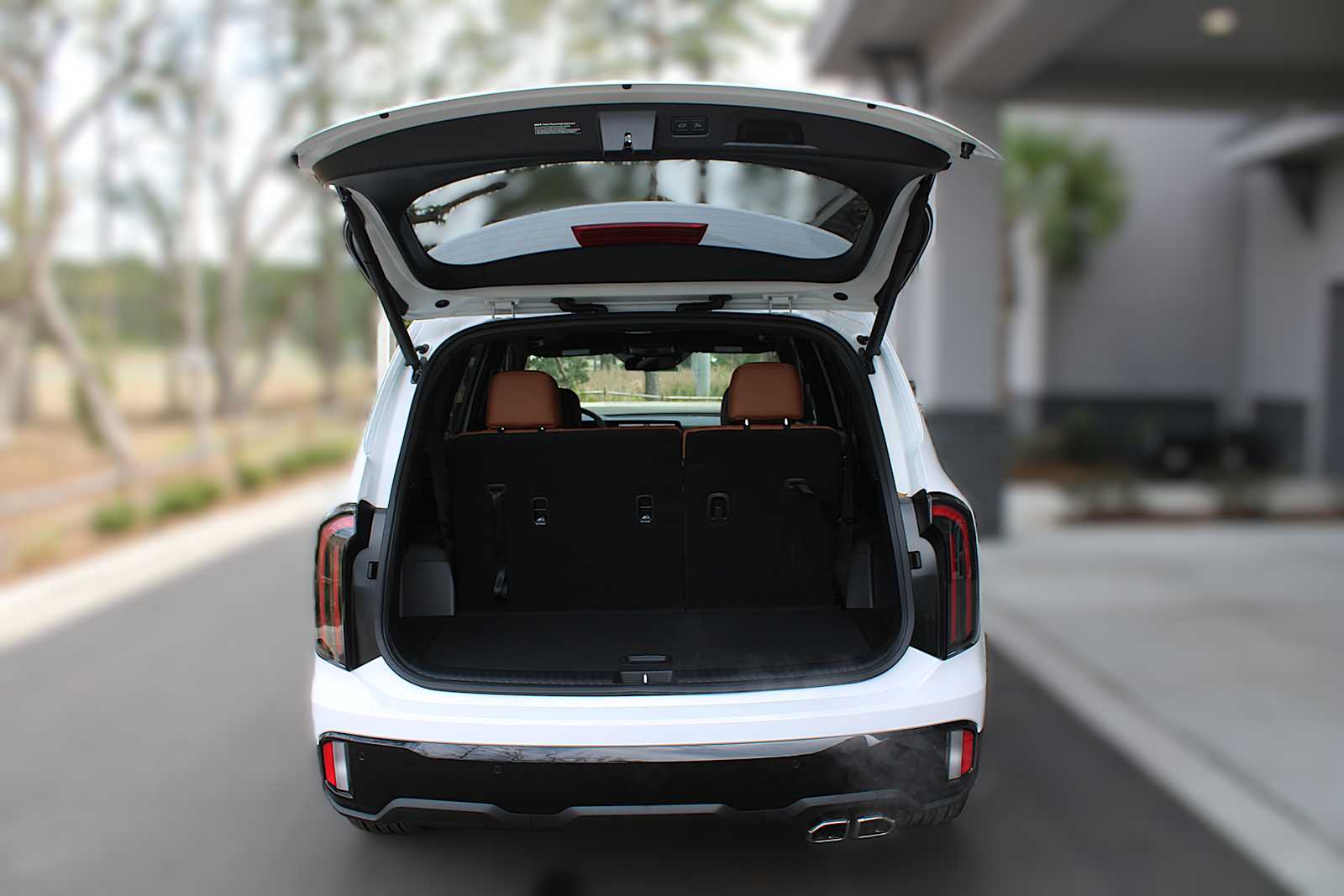2025 Kia Telluride EX X-Line photo 8