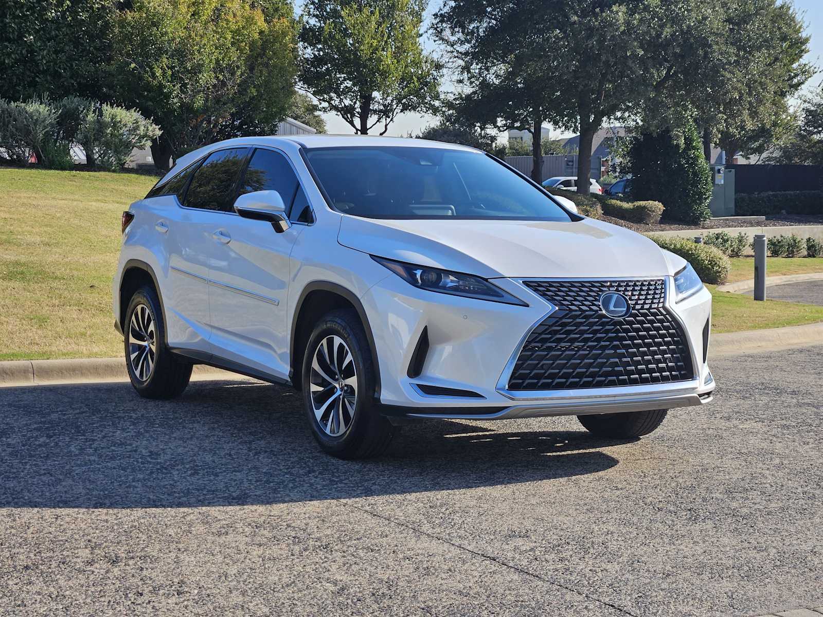 2020 Lexus RX 350 photo 2
