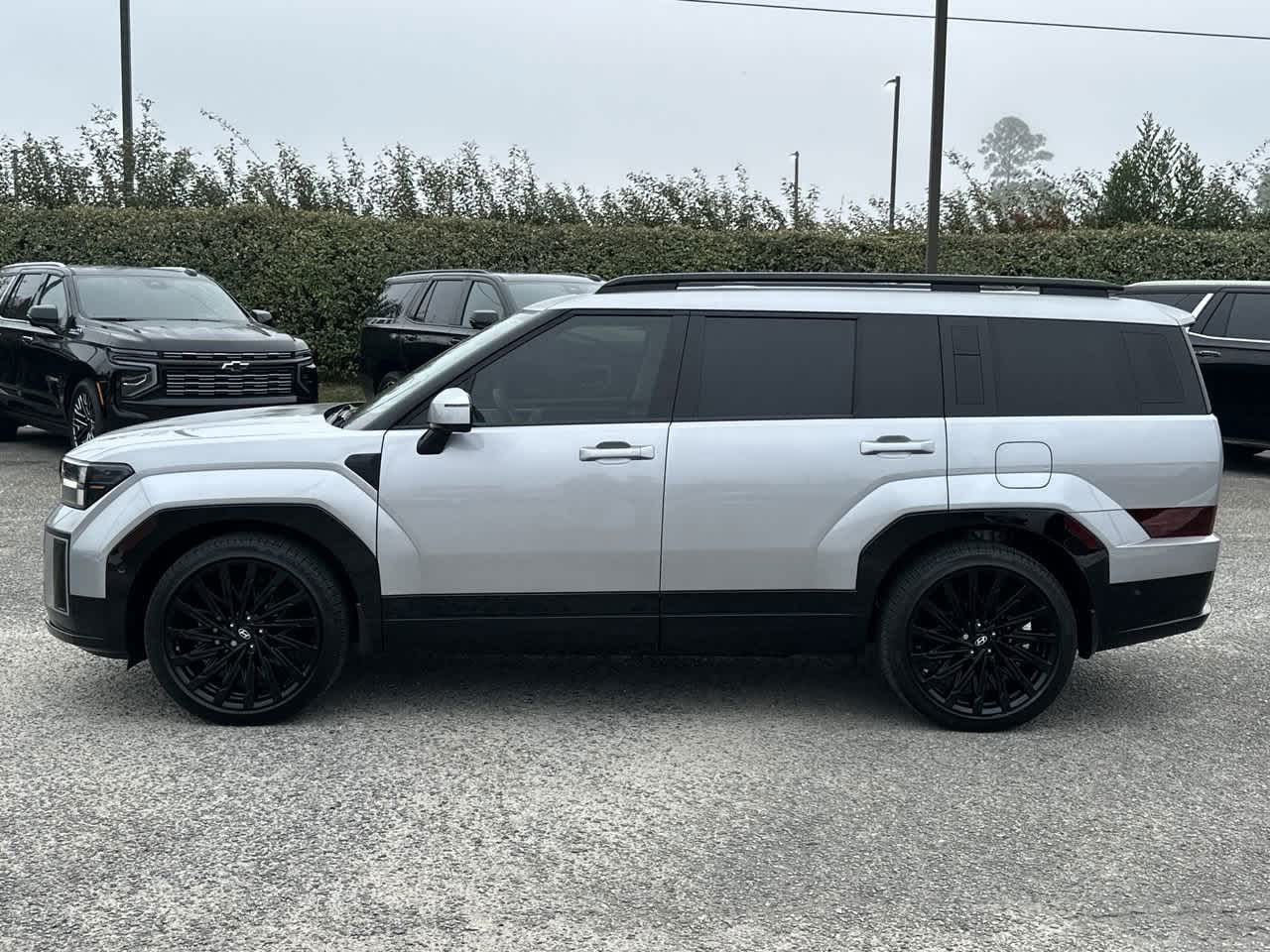 2025 Hyundai Santa Fe Calligraphy photo 4