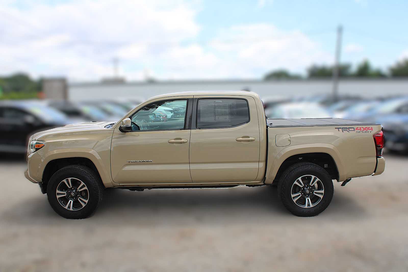2019 Toyota Tacoma TRD Sport photo 15