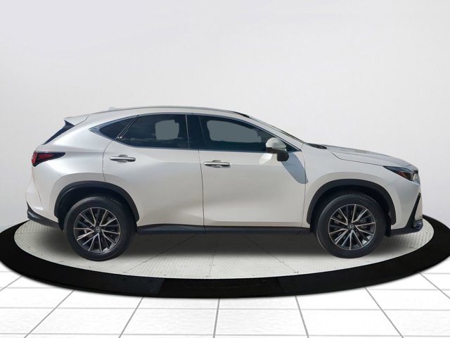 2025 Lexus NX 350 Luxury photo 3