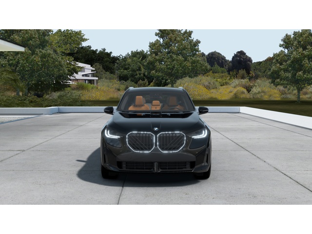 2025 Bmw X3 30x Drive photo 3