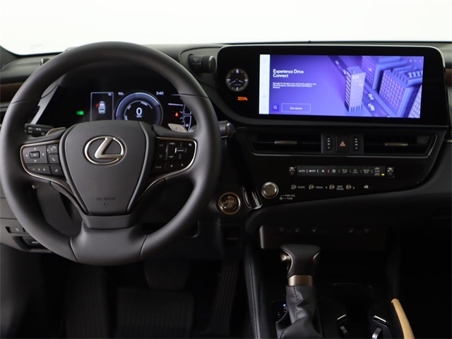 2025 Lexus ES 300h photo 19