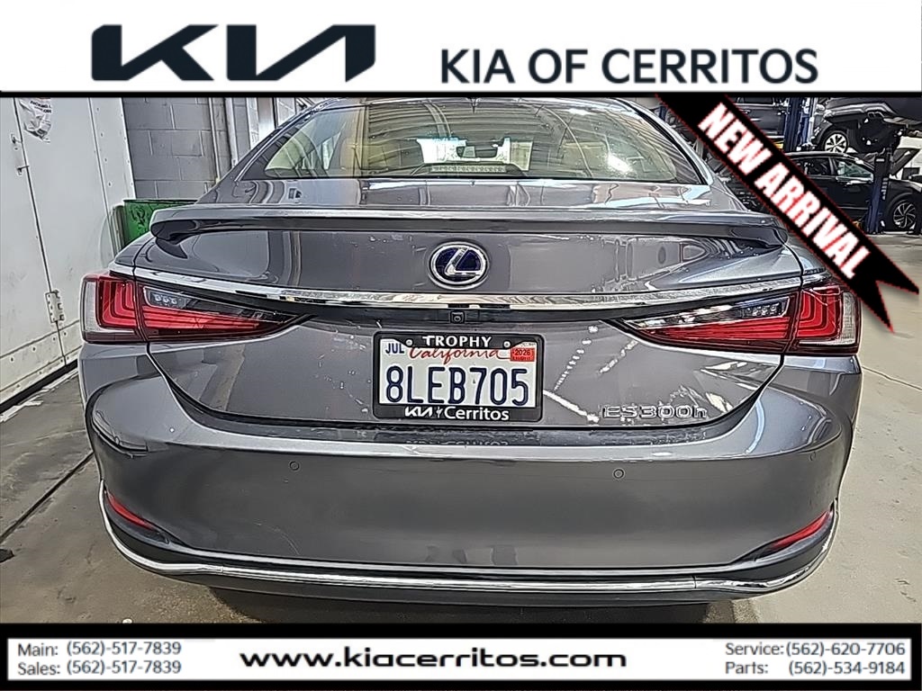 2019 Lexus ES 300h photo 4