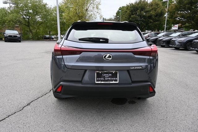 2024 Lexus UX 250h Premium photo 4