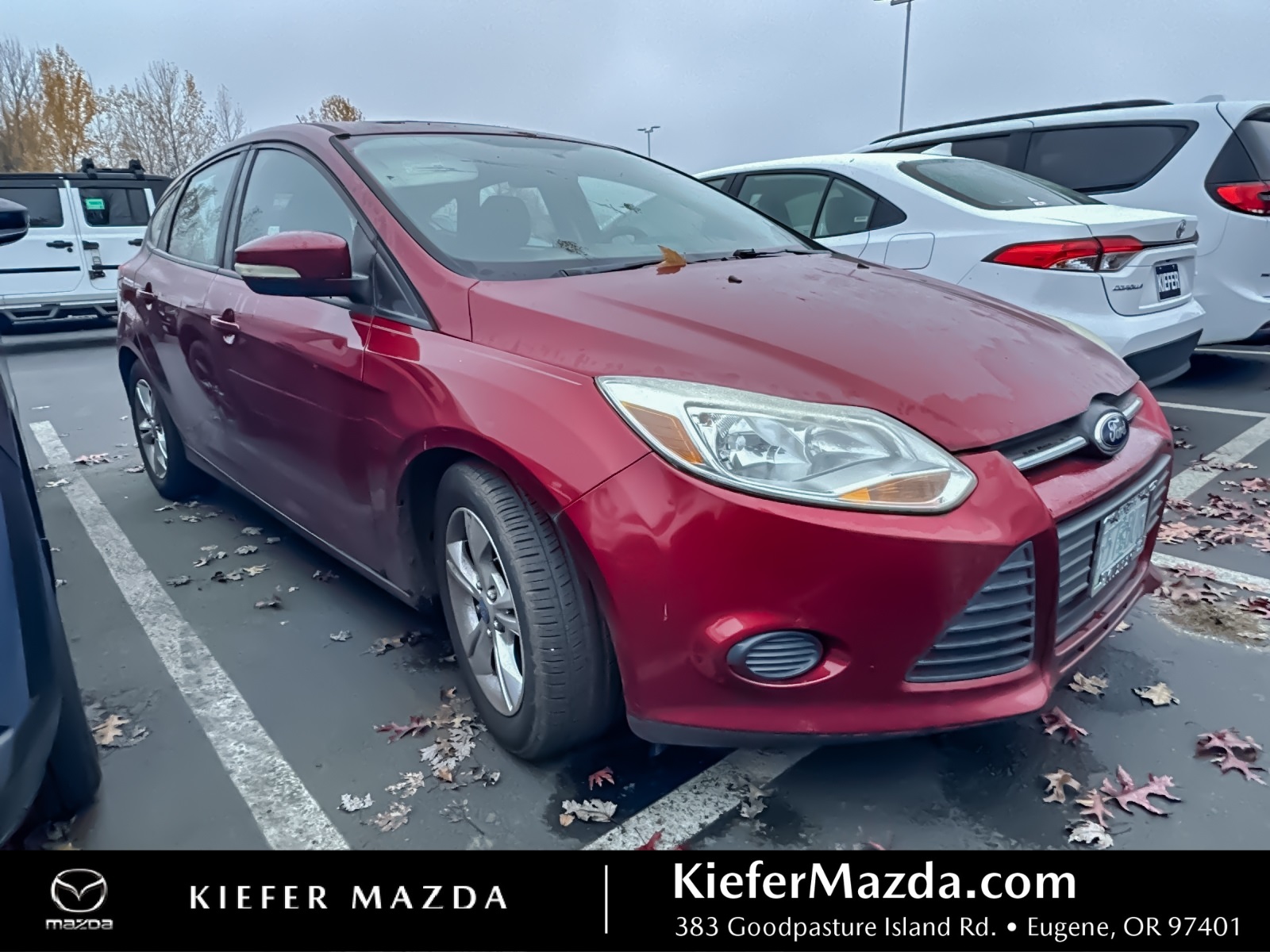 2013 Ford Focus SE's photo