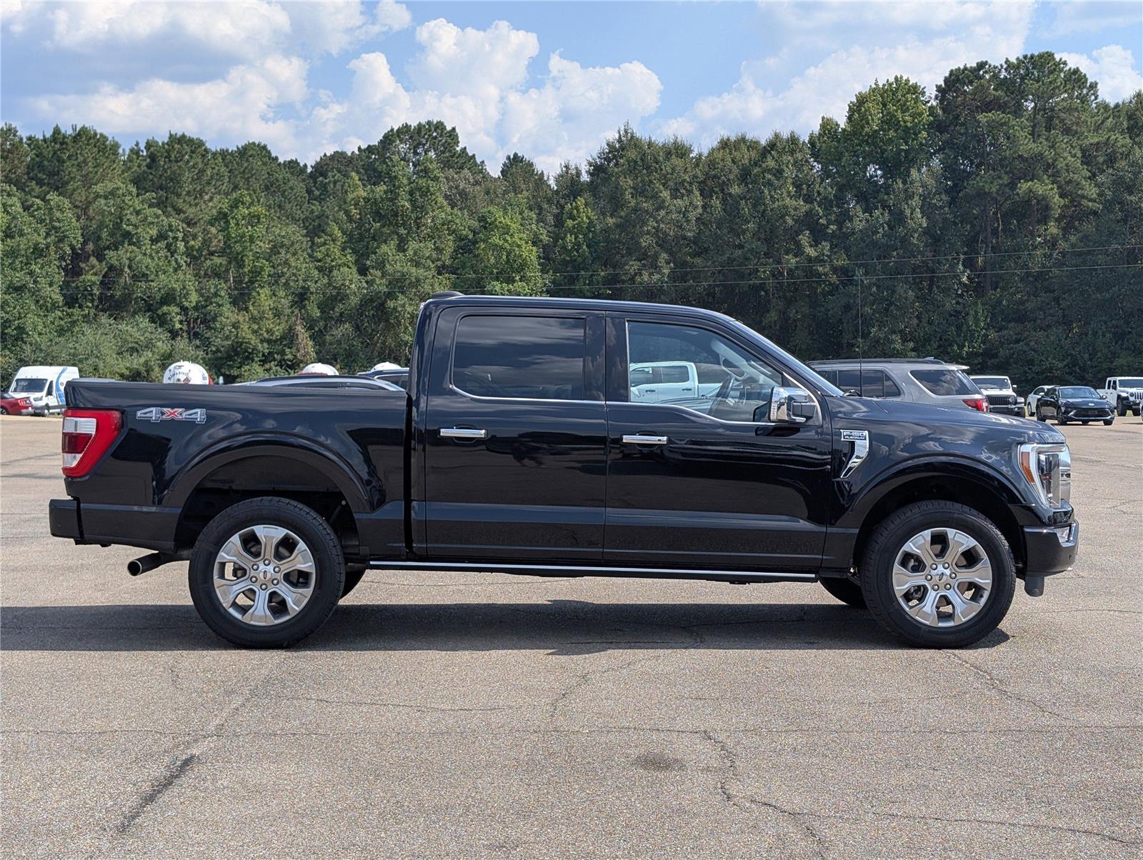 2023 Ford F-150 Platinum photo 7