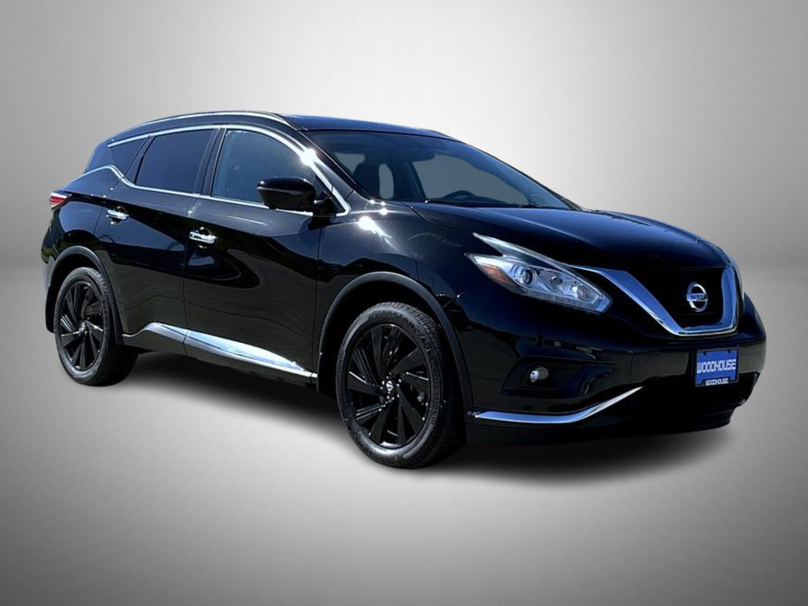 2017 Nissan Murano Platinum photo 3