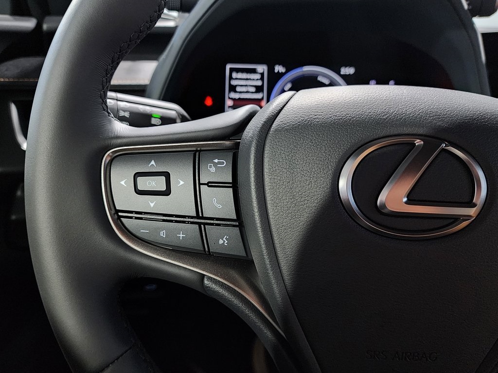 2025 Lexus UX photo 14