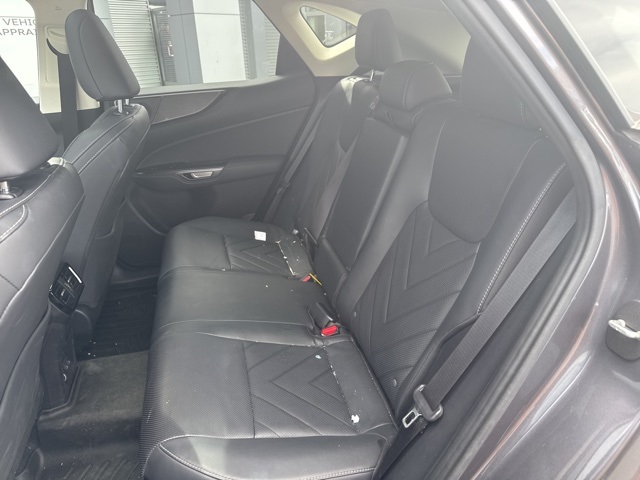 2024 Lexus NX 450h+ Luxury photo 10