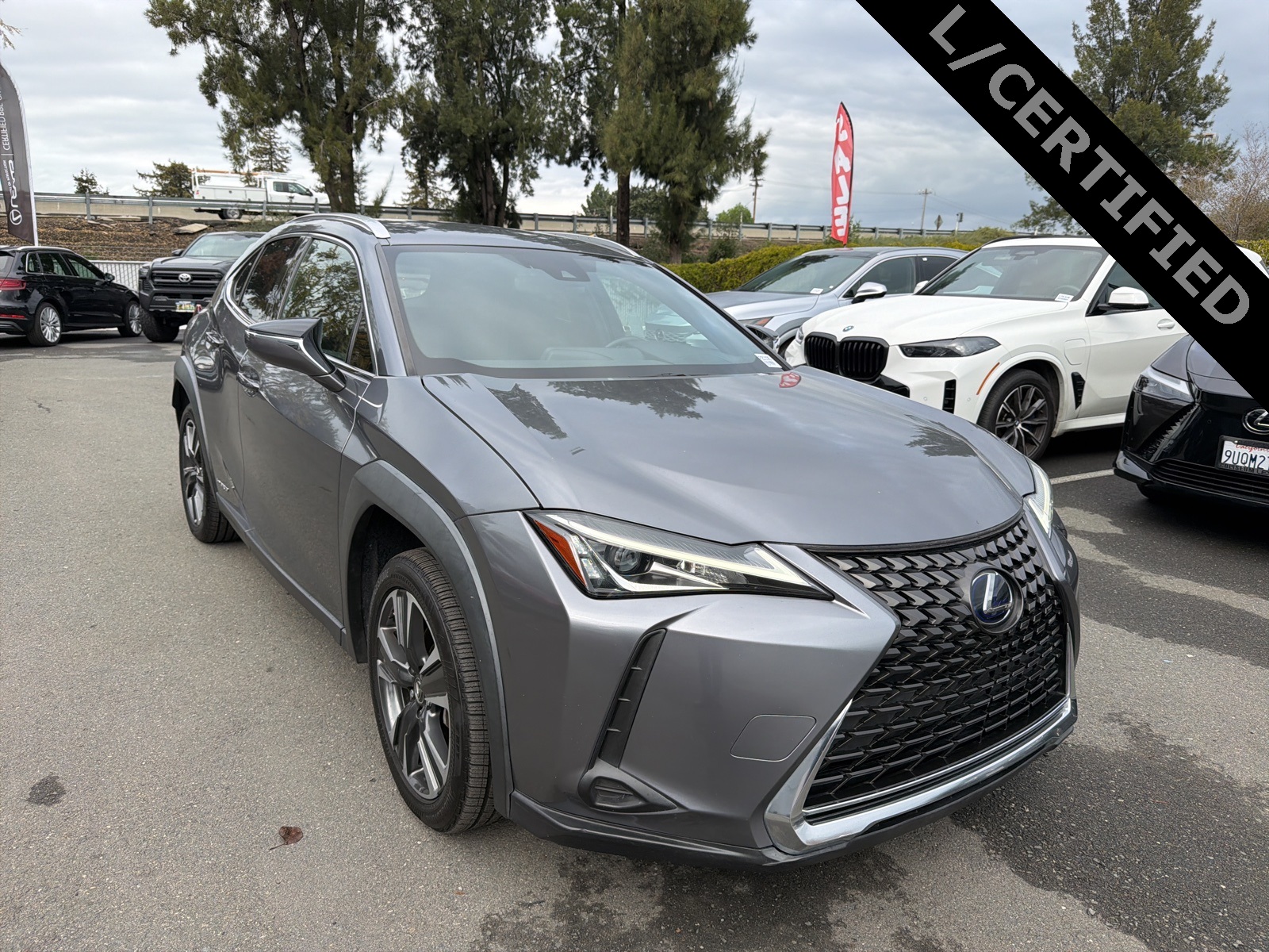 2020 Lexus UX Hybrid