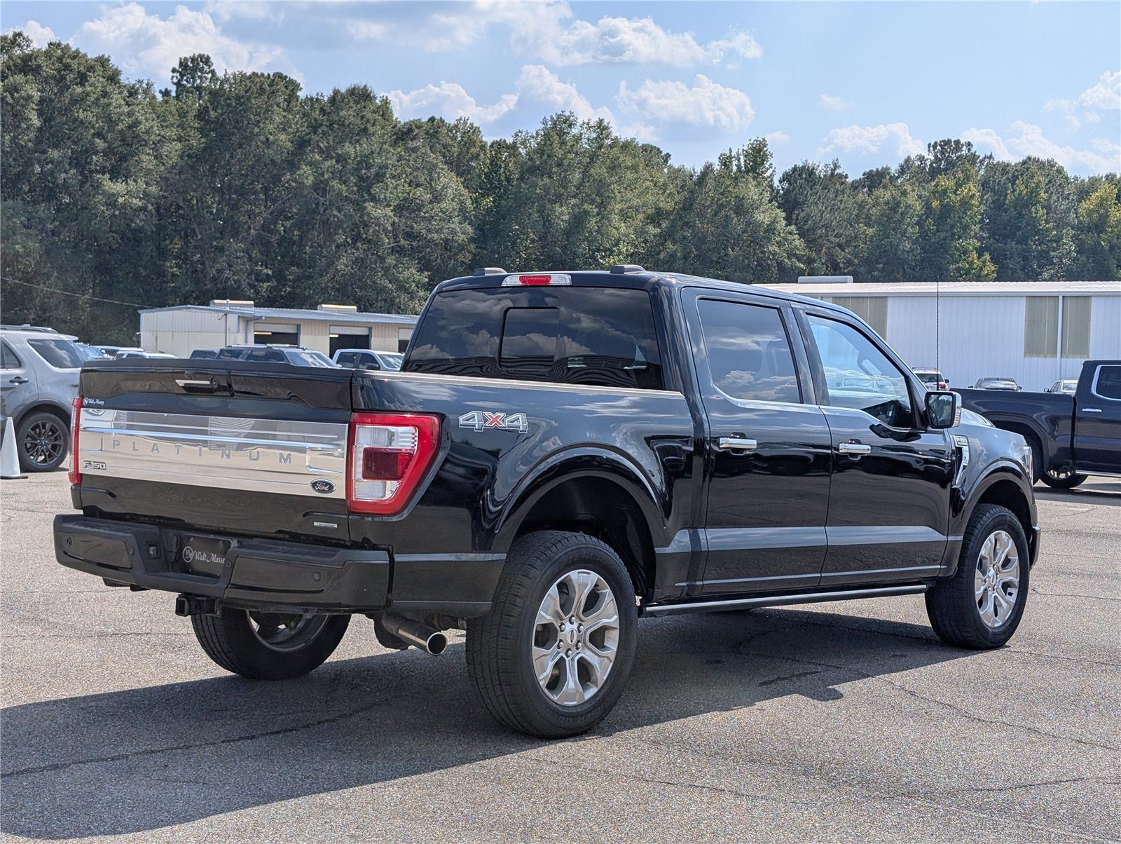 2023 Ford F-150 Platinum photo 6