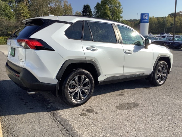 2024 Toyota RAV4 Hybrid XLE Premium photo 2