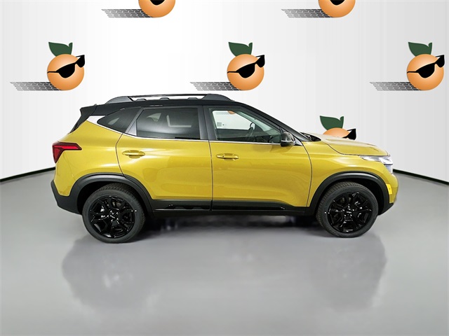 2024 Kia Seltos X-Line photo 8