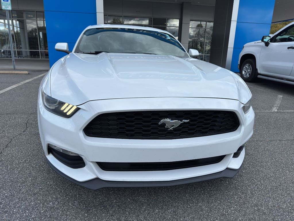 Used 2017 Ford Mustang V6 with VIN 1FA6P8AM8H5262892 for sale in Newton, NC