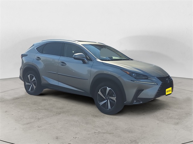 2019 Lexus NX 300h Luxury photo 7