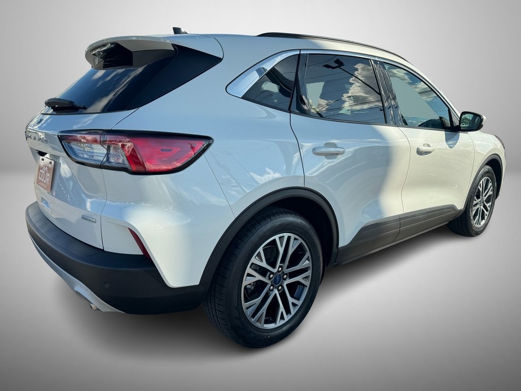 2020 Ford Escape SEL photo 3