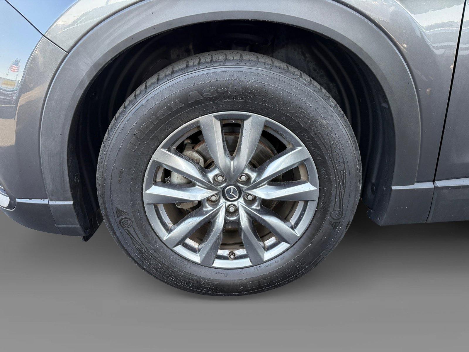 2018 Mazda CX-9 Sport photo 9