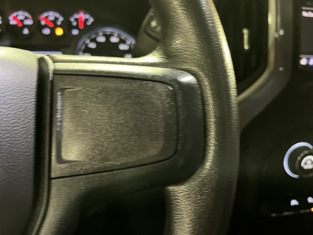2024 Chevrolet Silverado 1500 Custom Trail Boss Z71 photo 20