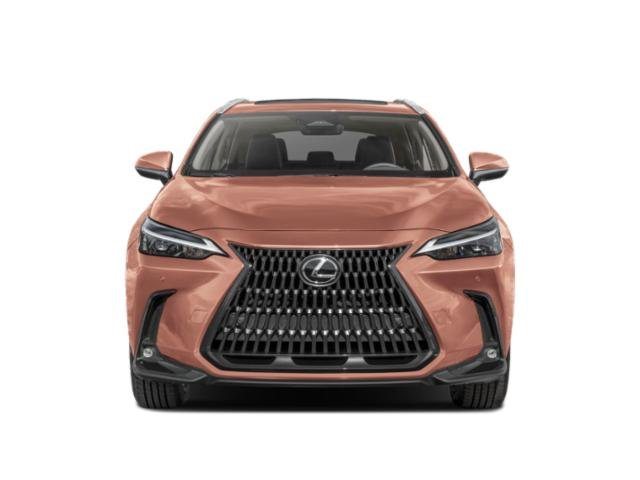 2025 Lexus NX 350 photo 4