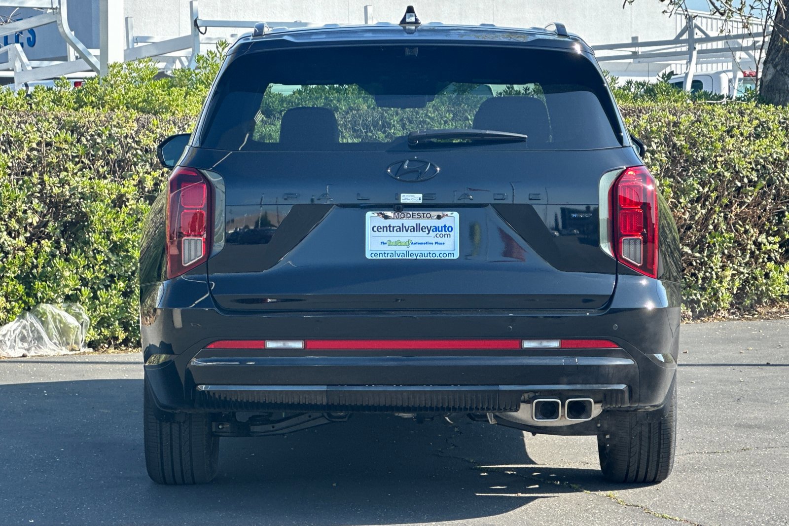 2025 Hyundai Palisade Calligraphy photo 3