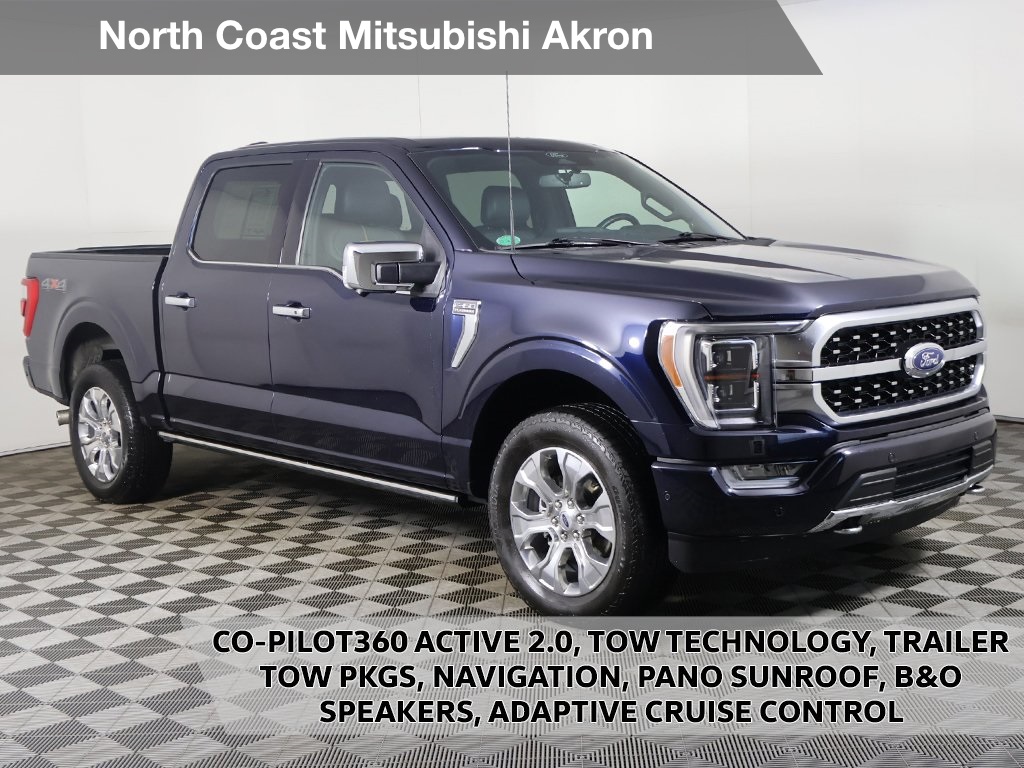 2022 Ford F-150 Platinum's photo
