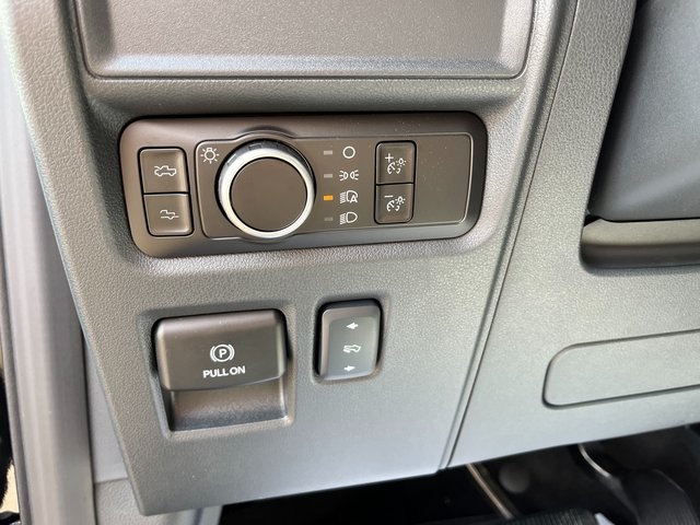 2025 Ford F-150 Lightning Platinum photo 25