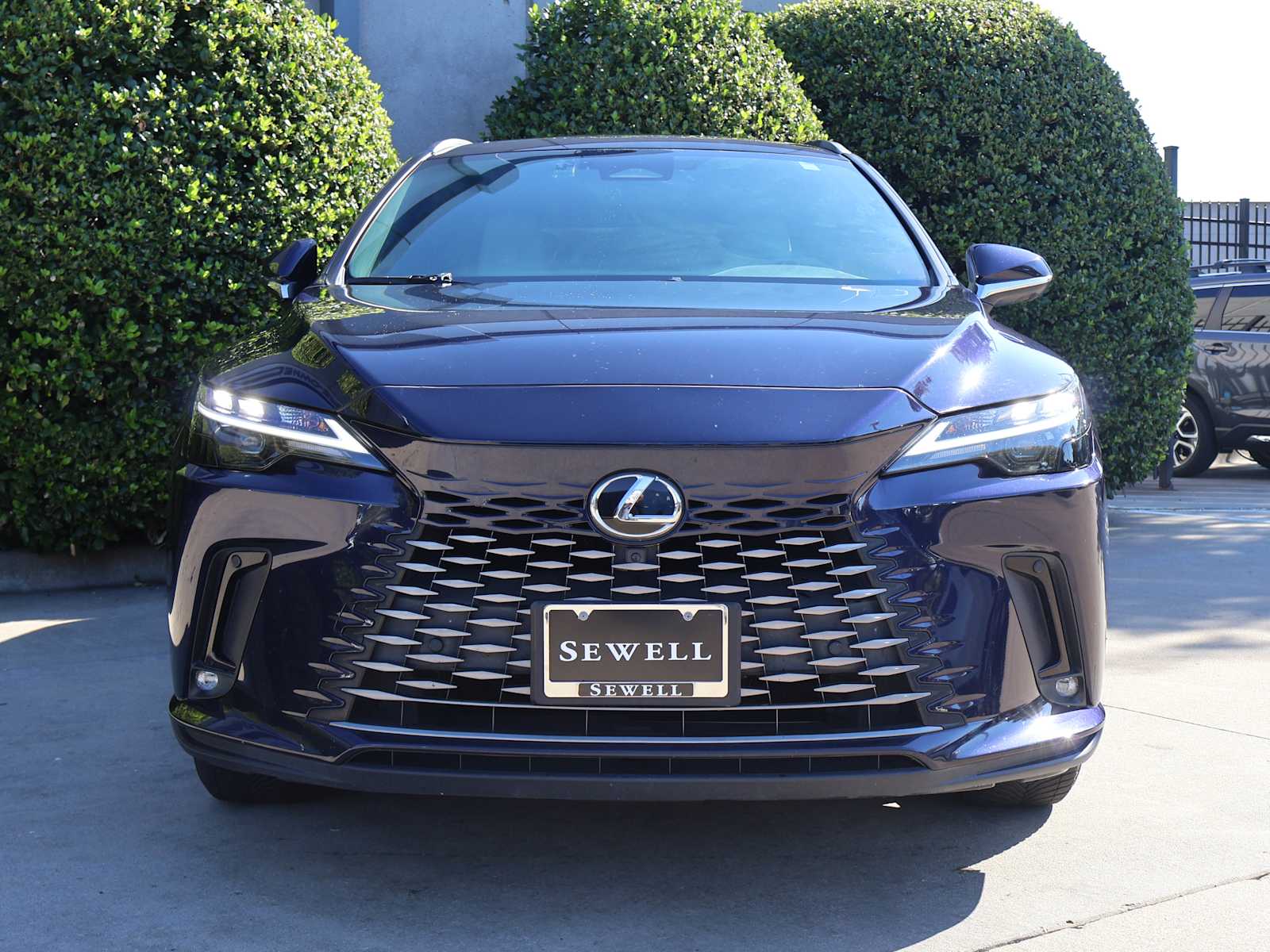 2023 Lexus RX Premium photo 2
