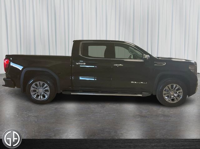 2026 Gmc Sierra 1500 Denali photo 4