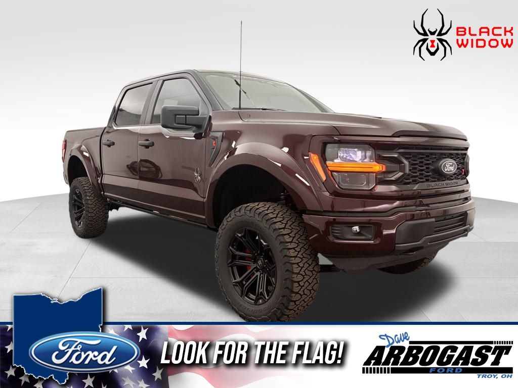 2025 Ford F-150 STX's photo