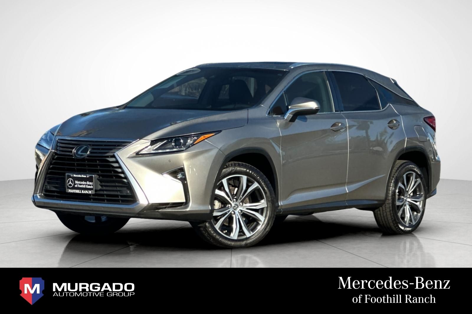 2019 Lexus RX 350's photo