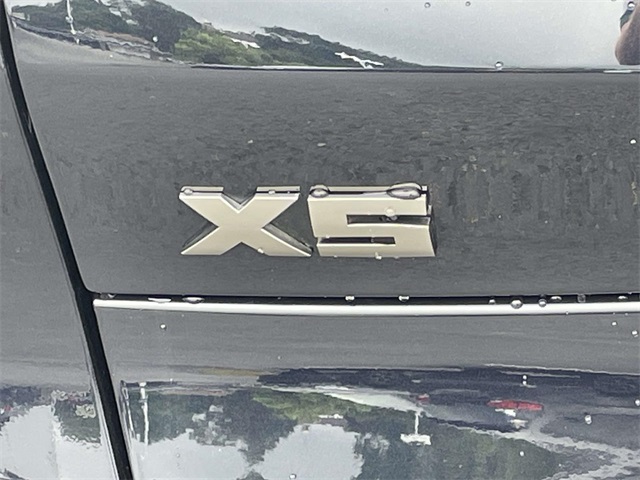 2023 Bmw X5 M50i photo 9