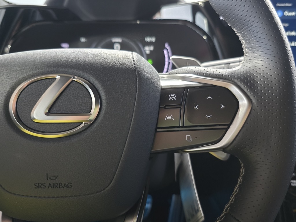 2025 Lexus NX 450h+ F SPORT photo 16
