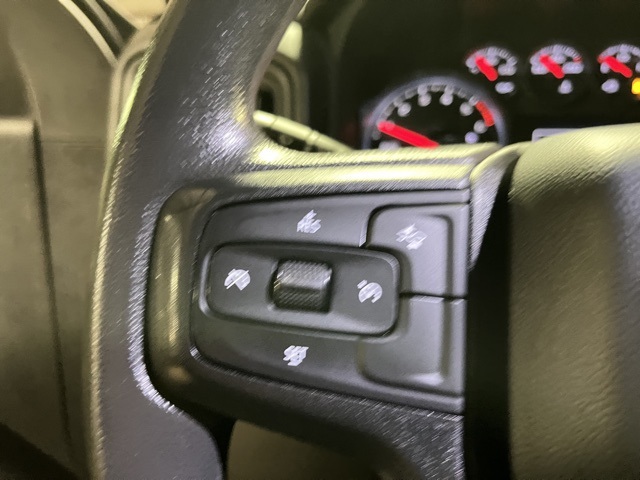 2024 Chevrolet Silverado 1500 Custom Trail Boss Z71 photo 19