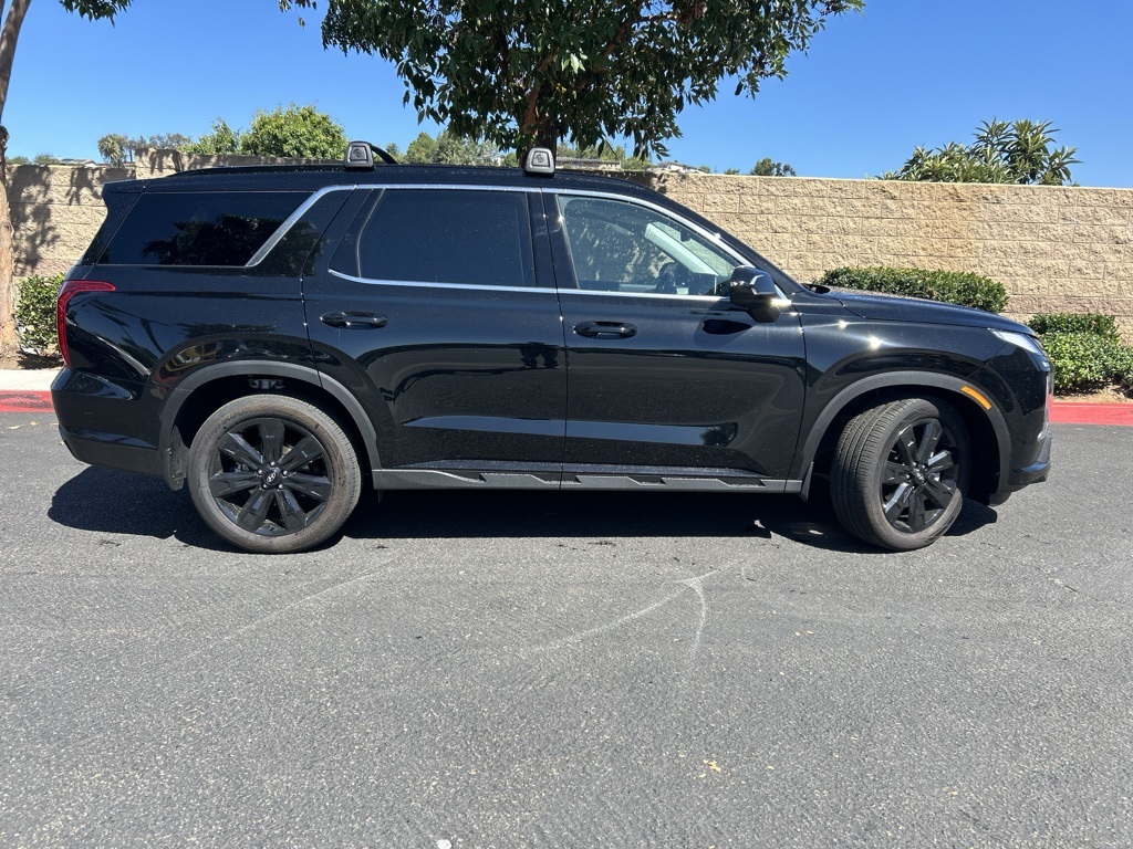 2025 Hyundai Palisade XRT photo 3