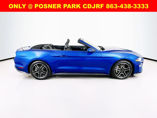 2023 Ford Mustang EcoBoost Premium photo 8