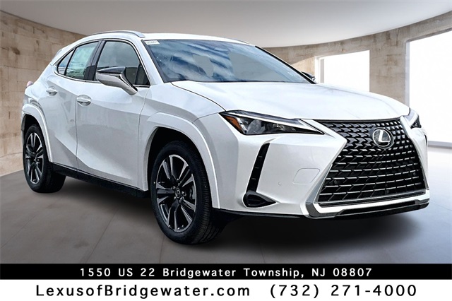 2025 Lexus UX Hybrid 300h Premium's photo