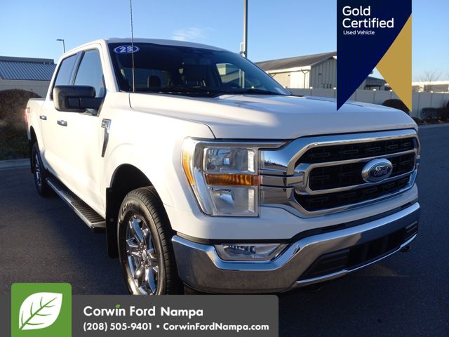 2023 Ford F-150 XLT's photo