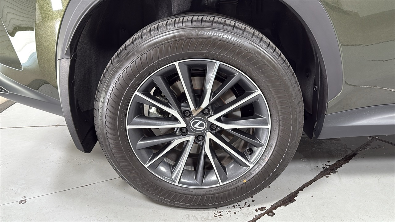 2024 Lexus NX 350 Luxury photo 19