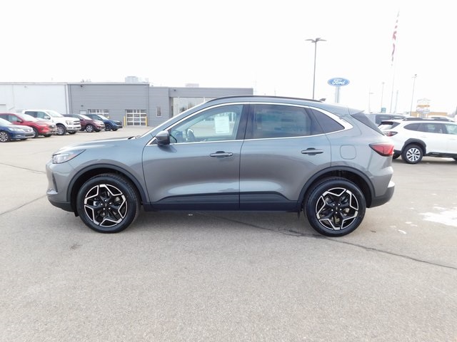 2026 Ford Escape Platinum photo 4