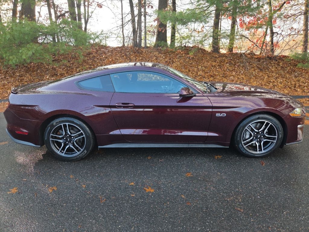 2018 Ford Mustang GT's photo