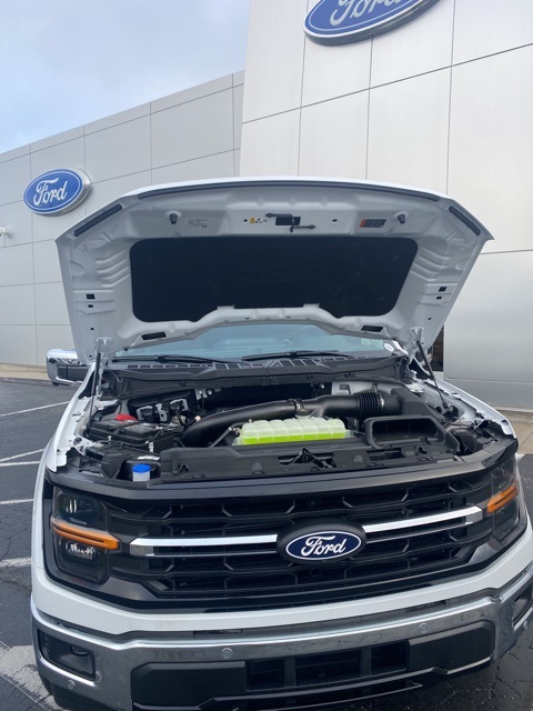 2025 Ford F-150 XLT photo 37