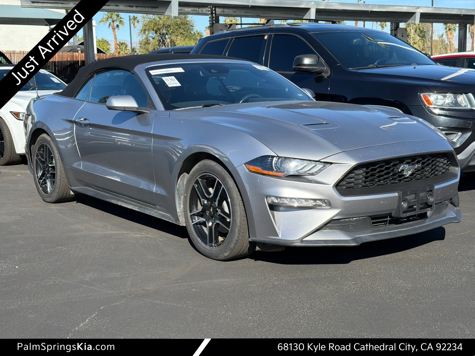 2023 Ford Mustang EcoBoost Premium's photo