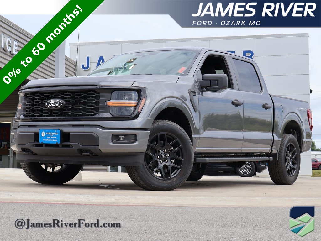 2025 Ford F-150 STX's photo