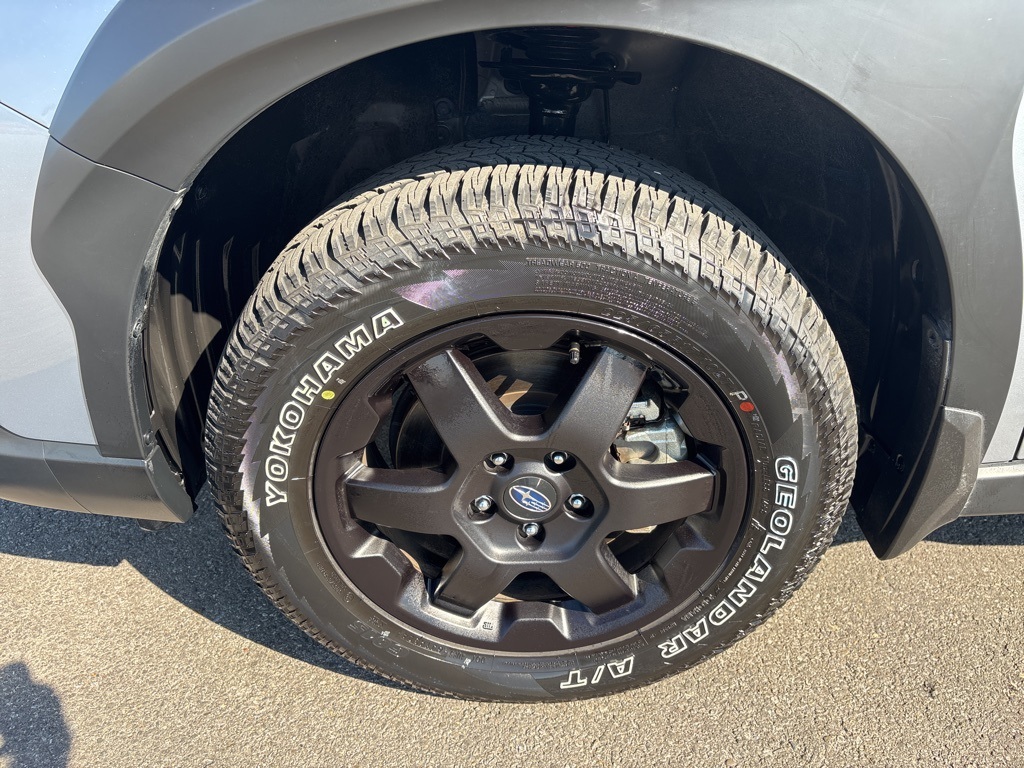 2025 Subaru Outback Wilderness photo 7