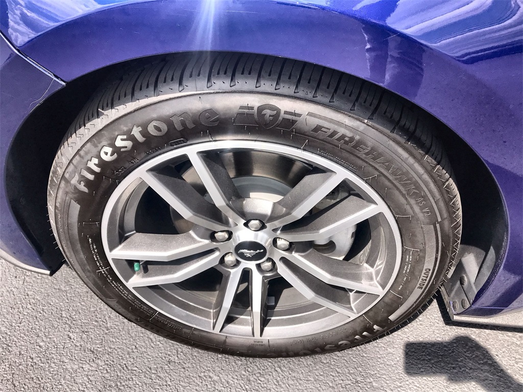 2015 Ford Mustang EcoBoost Premium photo 10
