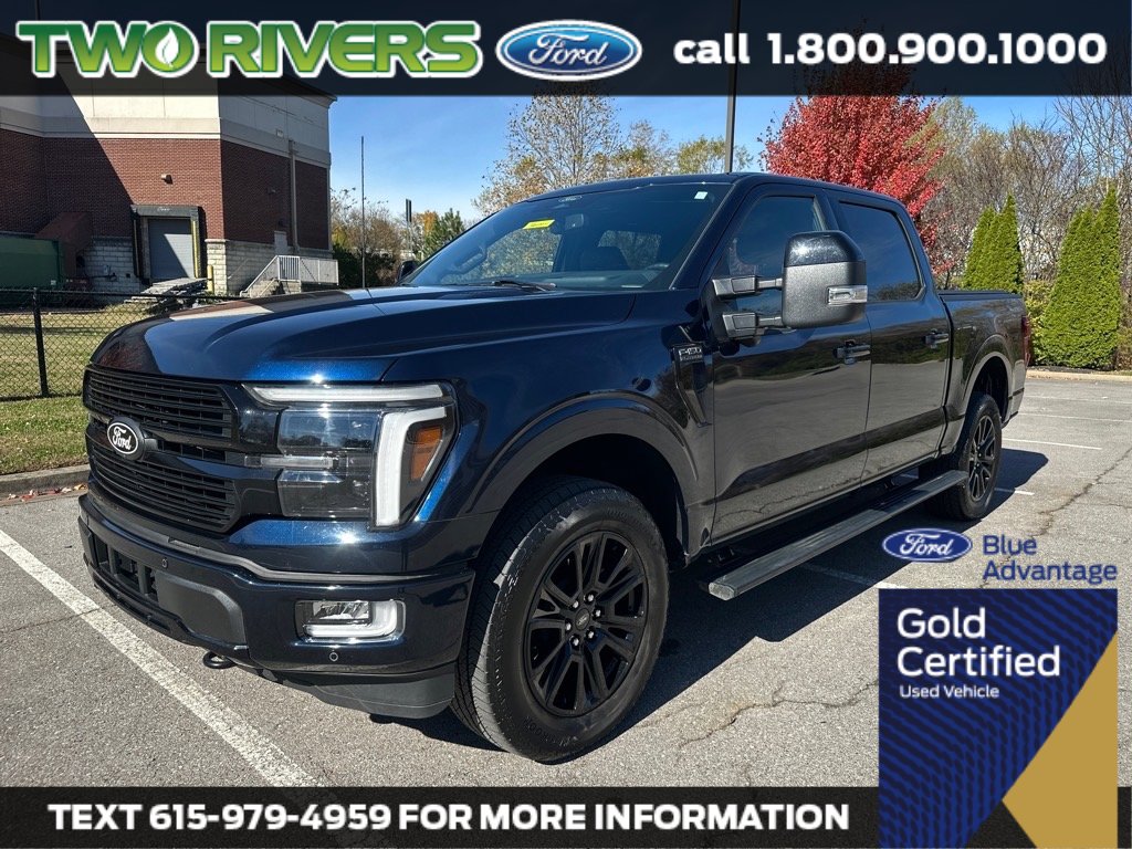 2024 Ford F-150 Platinum's photo